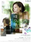 深度解析网站加载时间优化对SEO的长远价值